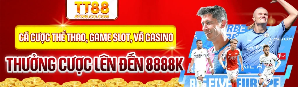 banner tt88