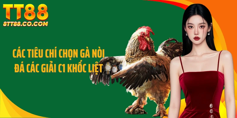 Các tiêu chí chọn gà nòi đá các giải C1 khốc liệt