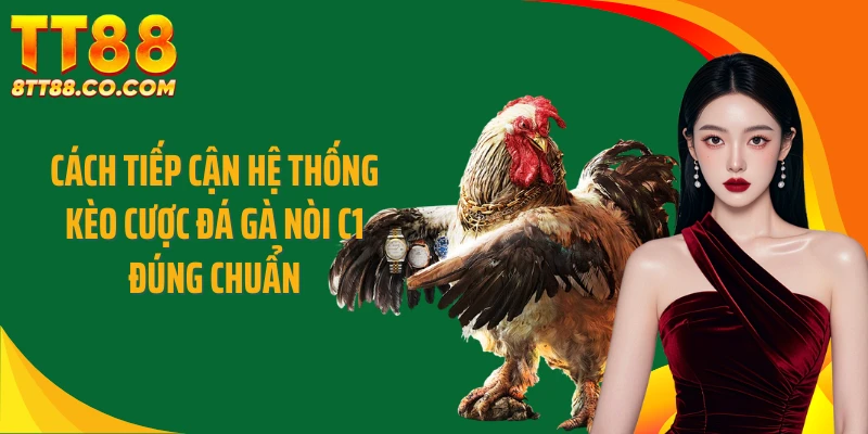 Cách tiếp cận hệ thống kèo cược đá gà nòi C1 đúng chuẩn