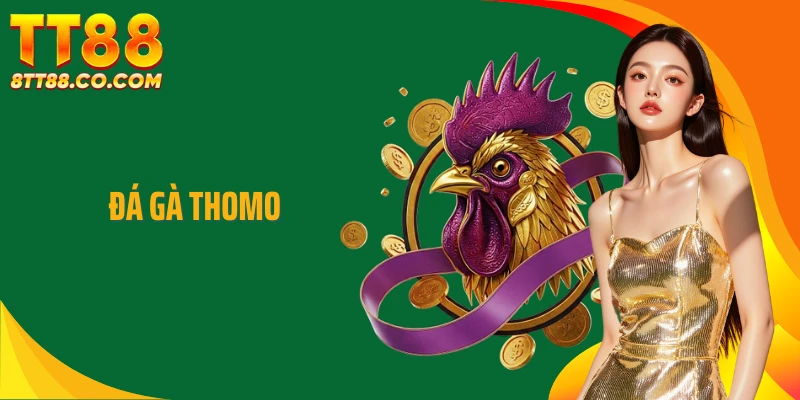 Đá Gà Thomo - Chuẩn Mực Thi Đấu Được Sư Kê Đánh Giá Cao
