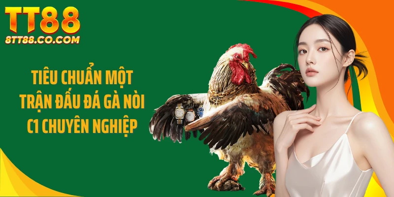 Tiêu chuẩn một trận đấu đá gà nòi C1 chuyên nghiệp